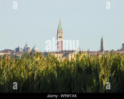 Blick auf San Marco Glockenturm von Campalto die Lagune von Venedig Italien Stockfoto