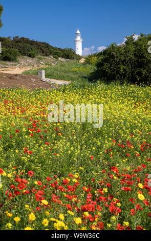 Paphos Leuchtturm mit wilden Blumen im Vordergrund, Kato Pafos archäologischen Park, Zypern Stockfoto