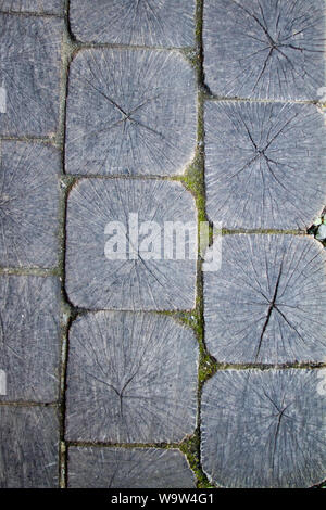 Bürgersteig oder Park weg der Holz- Schnitte, Kulisse mit Holzstruktur, selektiver Fokus Stockfoto