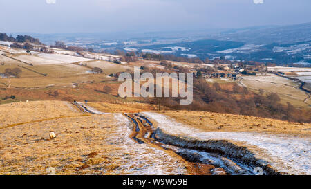 In Keswick, England, UK - 21. Februar 2010: Wanderer vorbei Schafe weiden auf dem Schnee - Entstaubt Latrigg Berg in den englischen Lake District. Stockfoto