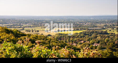 Ein Patchwork aus Feldern und Wäldern in der Landschaft von Sussex, aus Ditchling Beacon Hill an den steilen Hängen der South Downs betrachtet. Stockfoto