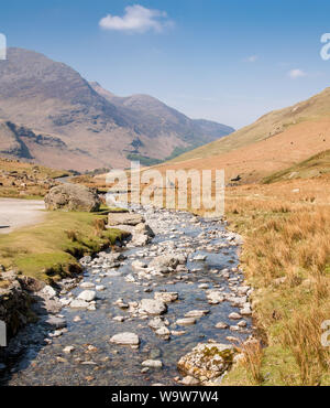 Die Gatesgarthdale Beck, einem kleinen, felsigen Berg Fluss, fließt durch ein Tal in der Nähe von buttermere unter den Bergen des englischen Lake District National Stockfoto