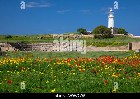 Paphos Leuchtturm und Odeon mit wilden Blumen im Vordergrund, Kato Pafos archäologischen Park, Zypern Stockfoto