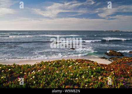 Letztes Licht auf Wellen gegen das Meer Stacks und Küstenlinie an Garrapata State Park entlang der kalifornischen Monterey Küste. Stockfoto