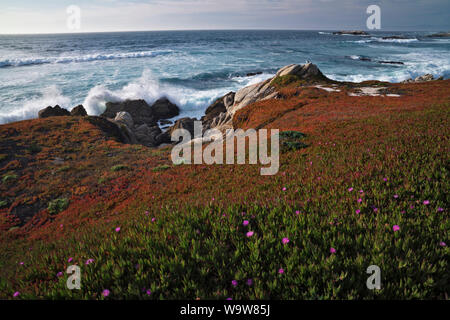Letztes Licht auf Wellen gegen das Meer Stacks und Küstenlinie an Garrapata State Park entlang der kalifornischen Monterey Küste. Stockfoto