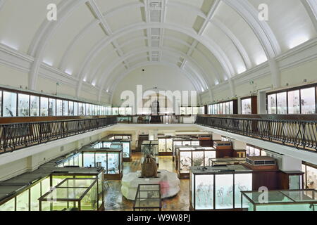 Die Horniman Museum & Gärten in Forest Hill, London Stockfoto