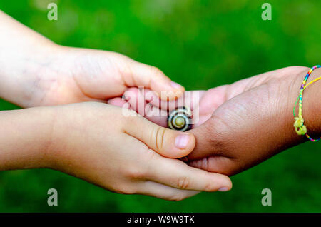 Junge und Mädchen verschiedener Rassen halten, eine lebendige Schnecke in der Hand. Junge ist kaukasisch und das Mädchen ist Schwarz. Konzeptionelle Foto über Pflege und Vielfalt. Stockfoto