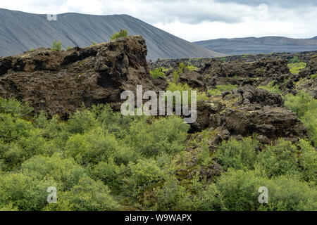 Lava Formen bei Dimmuborgir, See Myvatn, Island Stockfoto