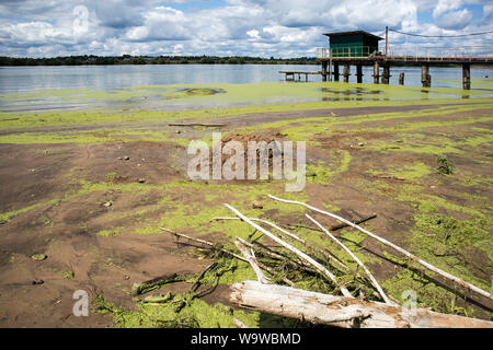 Der alte Pier an der Wolga bei Ebbe Stockfoto