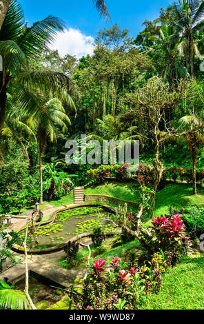 Garten in Goa Gajah Tempel auf Bali, Indonesien Stockfoto