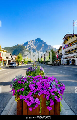 Stadt Banff Avenue, Banff, Banff National Park, Alberta, Kanada Stockfoto