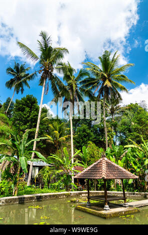 Garten in Goa Gajah Tempel auf Bali, Indonesien Stockfoto