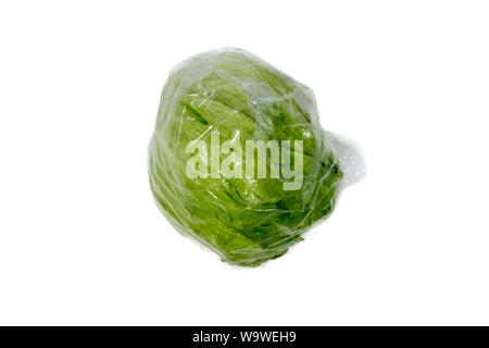 Eisbergsalat verpackt in Folie Stockfoto