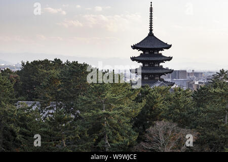 Das fünfstöckige Pagode des Kofuku-ji-Tempel in Nara, Japan. Stockfoto