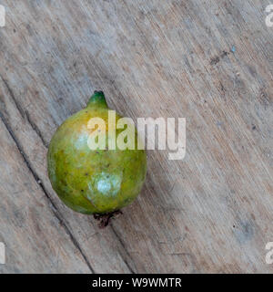 In der Nähe von exotischen Früchten Grugru Muttern bin acauba' auf Holz- Hintergrund. Original aus einem brasilianischen native Palm Tree ist als Nahrungsmittel für Menschen und Tiere verwendet Stockfoto