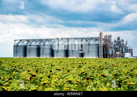 Fernsicht auf Sonnenblumenöl Raffinerie in einem Feld Stockfoto