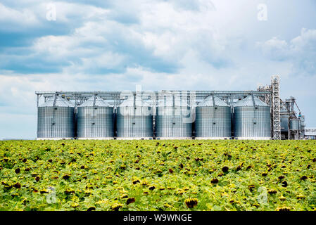 Fernsicht auf Sonnenblumenöl Raffinerie in einem Feld Stockfoto