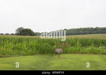 Sharp's Kornfeld, am Wilson's Creek National Battlefield in der Republik, Missouri, USA. Stockfoto