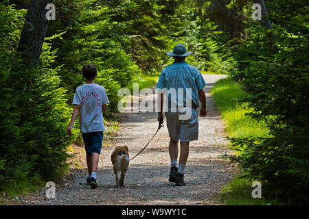 Wandern auf einem Feuer Straße auf der einsamen Insel - ACADIA NATIONAL PARK, Maine Stockfoto