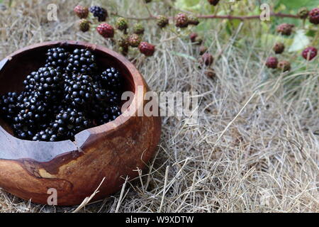 Wild - gestaltete Brombeeren in rustikalen und dennoch eleganten Hand - gedreht Apple - Holz Schüssel auf trockenem Gras im Sommer dürre mit verschwommenen Brambles im Hintergrund Stockfoto