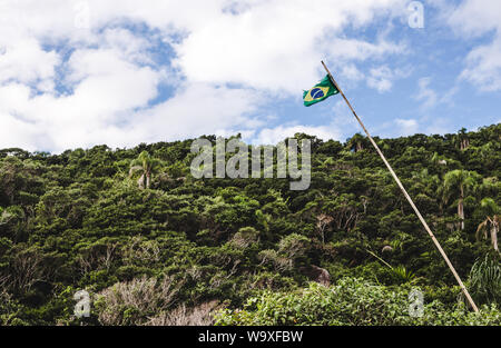 Brasilianische Flagge hoch oben auf einer hölzernen Fahnenmast neben der üppigen Wald von Florianopolis, Brasilien Stockfoto