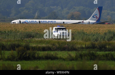 (190816) - Peking, Aug 16, 2019 (Xinhua) - Foto am 15 August, 2019 zeigt den Airbus A321, der eine harte Landung in der Nähe von internationalen Flughafen Schukowski südöstlich von Moskau, Russland. Ein Airbus Flugzeug mit über 200 Passagieren an Bord eine Notlandung am Donnerstag in der Nähe von Moskau kurz nach dem Abheben und verletzte 23 Menschen, darunter fünf Kinder, sagten die Behörden. Der Ural Airlines Flug A321 eine harte Landung in der Nähe von internationalen Flughafen Schukowski südöstlich von Moskau durchgeführt, nachdem die Motoren durch Vögel getroffen wurden, die Sputnik Nachrichtenagentur Russlands Federal Air Transport EIN Stockfoto