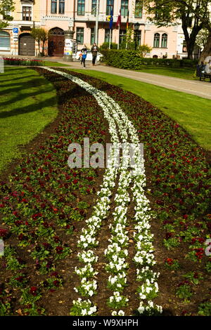 Blumenbeete, die zu Ehren des lettischen Unabhängigkeitstages entworfen wurden Stockfoto