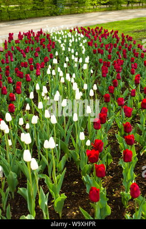 Blumenbeete, die zu Ehren des lettischen Unabhängigkeitstages entworfen wurden Stockfoto