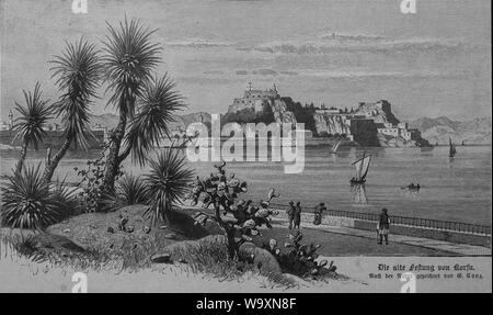 Die Gartenlaube (1893) b 201. Stockfoto