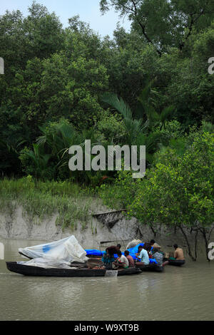 Die Fischer fangen in den Sundarbans, der größte Mangrovenwald der Welt. Bangladesch Stockfoto