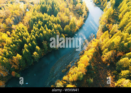 Den Wald Fluss Herbst Landschaft Stockfoto