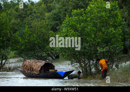 Die Fischer fangen in den Sundarbans, der größte Mangrovenwald der Welt. Bangladesch Stockfoto