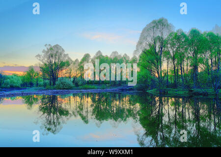 Die größere hinggan Berge Wald See Dämmerung Stockfoto