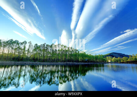 Die größere hinggan Berge Wald See Landschaft Stockfoto