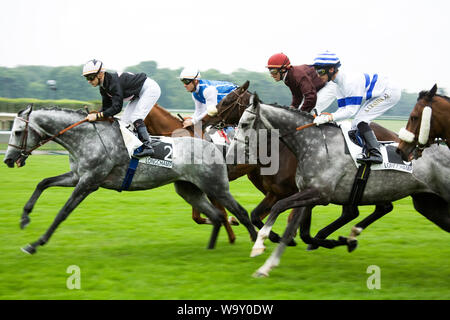 Frankreich. Paris. Pferde schon bald nach dem Start in einem Rennen an der Pferderennbahn Longchamp an einem Sonntag Nachmittag Stockfoto