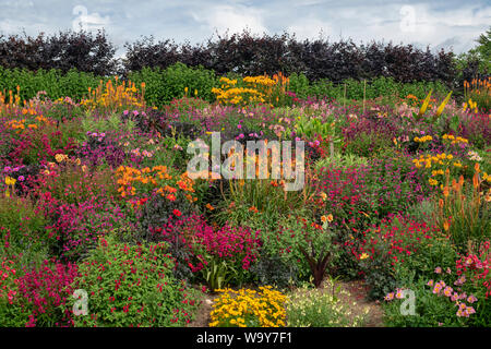 Farbenfrohe Sommer Blumenbeete im Aston Pottery. Aston, Bampton, Oxfordshire, England Stockfoto