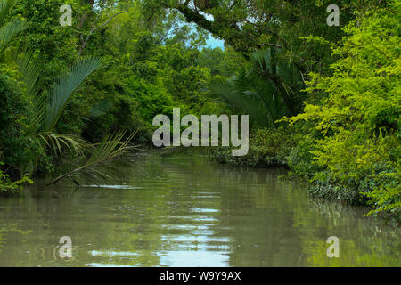 Sundarbans, der größte Mangrovenwald der Welt. Bangladesch. Stockfoto