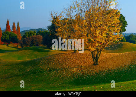 Herbst Stockfoto