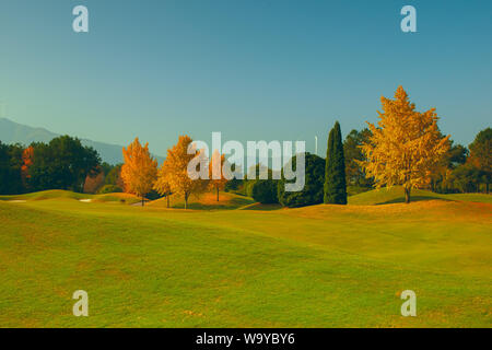 Herbst Stockfoto