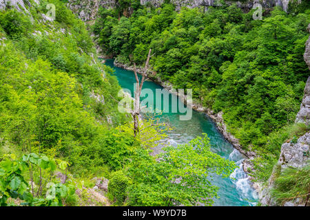 Montenegro, Türkis, sauber Moraca-fluss Gewässern durch grüne moraca Canyon von Wald in unberührter Natur Landschaft bedeckt fließende Stockfoto