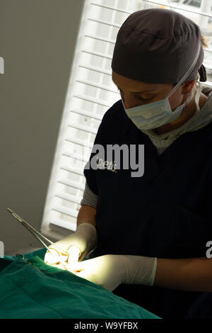 Berufsbildung am Arbeitsplatz Stockfoto