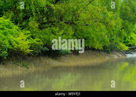 Sundarbans, der größte Mangrovenwald der Welt. Bangladesch. Stockfoto
