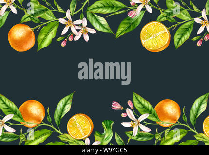 Orange Frucht Zweig horizontalen Rahmen mit Blumen realistische Botanischen Aquarell Banner: Citrus Baum geht von oben nach unten Grenzen auf Navy Black Hand Schmerzen Stockfoto