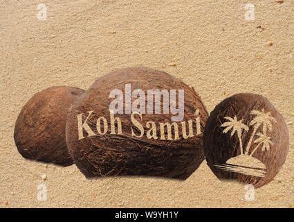 Kokosnüsse mit Gravur im Sand Stockfoto