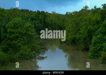 Sundarbans, der größte Mangrovenwald der Welt. Bangladesch. Stockfoto