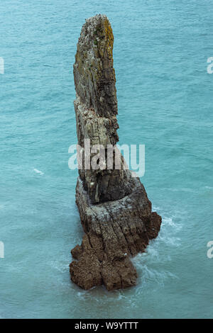 Stack Rocks, Sir Benfro auf Pembrokeshire Coast, South Wales, UK. Rock Pinnacle, Kalkstein Säule, durch Seewasser umgeben. beliebte Sehenswürdigkeit. Seascape. Stockfoto