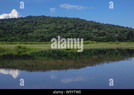 KAW Marsh, Marais de kaw, Französisch-Guayana, Frankreich Stockfoto