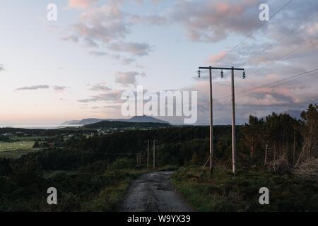 Aufnahme der Sendetürme neben den Bäumen unter dem rosafarben Himmel Stockfoto