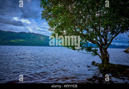 Urquhart Castle auf Lock Ness (GLNC) Stockfoto