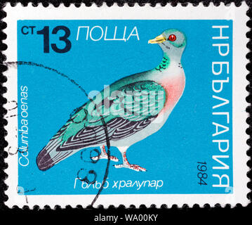 Lieferbar Taube Columba oenas, Briefmarke, Bulgarien, 1984 Stockfoto